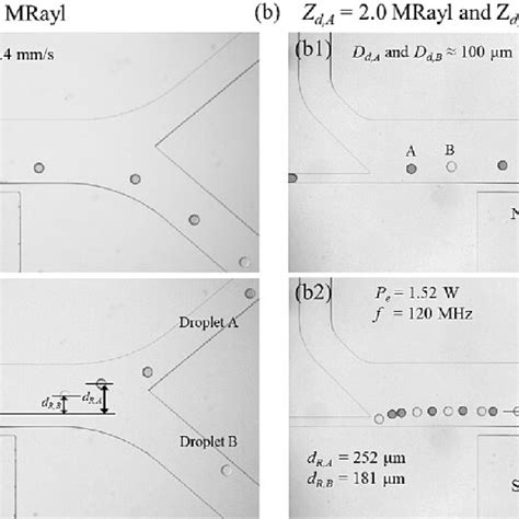 Image result for Sharp Edge Simulation