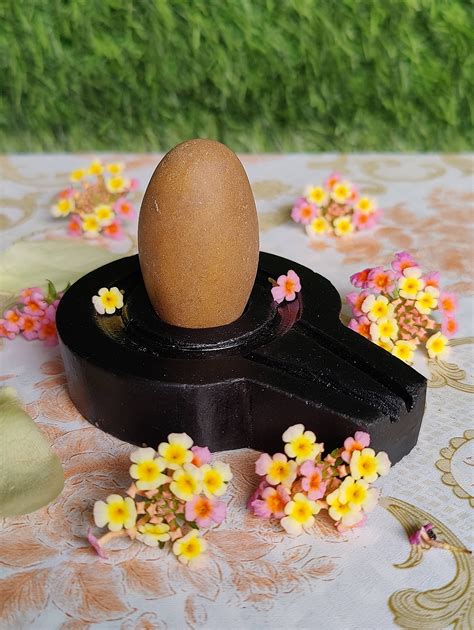 Buy Real Natural Narmadeshwar Narmada Stone Shivling Shiva Lingam ...