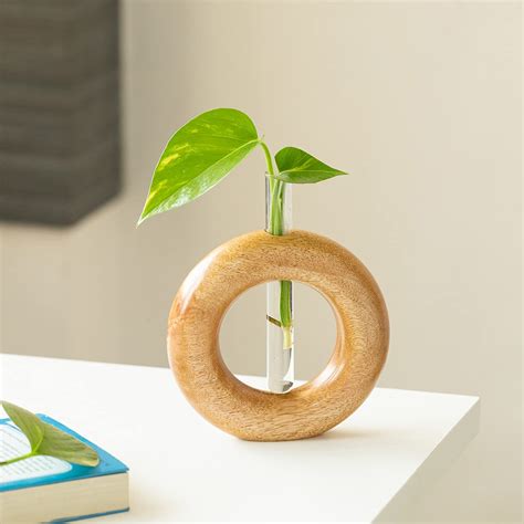 ExclusiveLane 'Roundabout Glass Garden' Test Tube Planter for Home ...