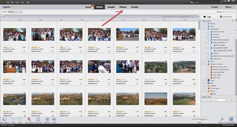 Image result for Adobe Organiser Elements 2021 Tutorial