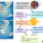 Image result for Hydrosphere Examples