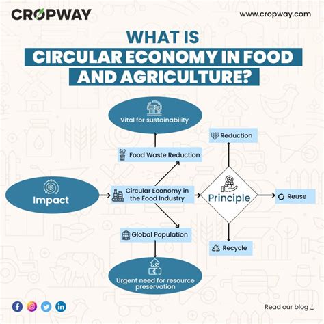 What Is Circular Economy In Food And Agriculture? - CROPWAY 2026