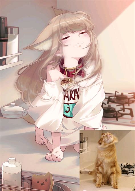 【40原】《我家猫猫是可爱的女孩子！》猫娘黄豆粉 美图集 - 哔哩哔哩