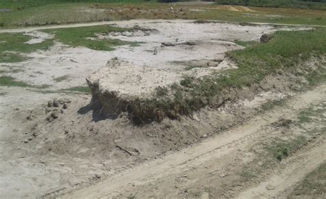 Bihar Elections: Twelve Years after Devastating Koshi Flood, Victims ...