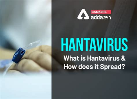 Hantavirus: What is Hantavirus and How does it spread?
