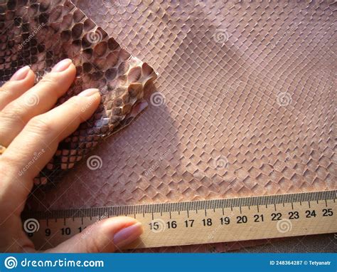 Image result for Pink Python Skin