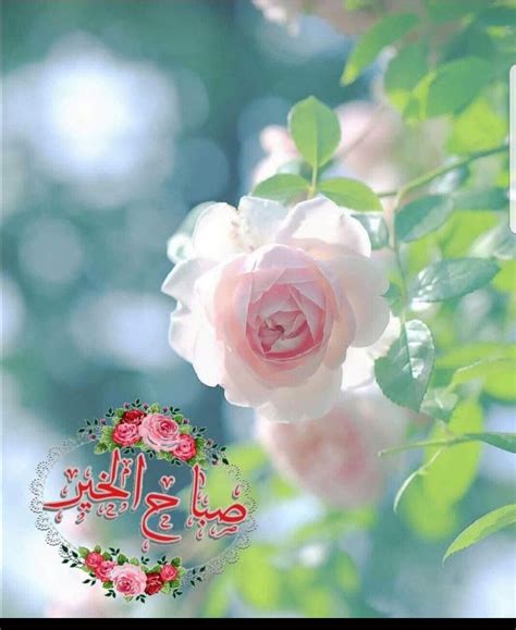 Good Morning Sabah Al Khair Quotes - good morning motivational quotes