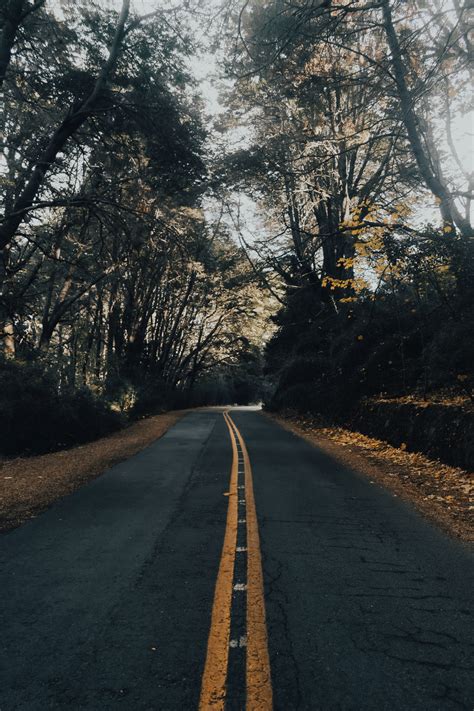 Image result for Test PSD File