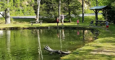 BIG ROCK DUDE RANCH AT PONDEROSA (Updated 2026) All You Need to Know ...