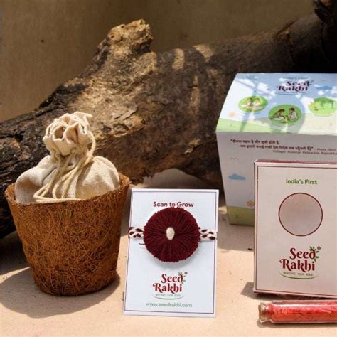 Indigifts offers Plantable Seed Rakhi for brother with Planter Gift Hamper.
