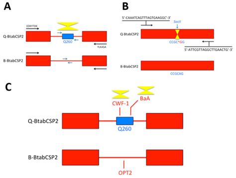 Sensors | Special Issue : Genosensing