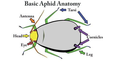 Image result for VBA Class Module PDF