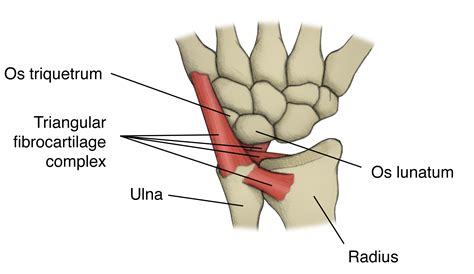 Sports Injury Bulletin - Diagnose & Treat - Ulnar impaction syndrome