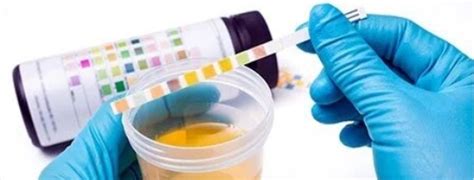 Corporate Health Checkup Packages | Employee Health Checkup