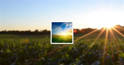 Obituary | Juan Antonio Marin Alarcon of Deming, New Mexico | Terrazas ...