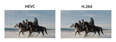 Image result for Install HEVC X265 Codec