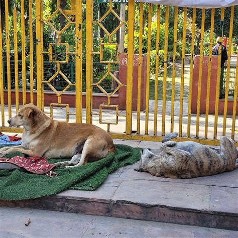 PALS INN (New Delhi) - 2026 Hotel Reviews, Photos, Rate Comparison ...