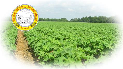 Shri Rajkot District Co-Operative Bank Ltd.