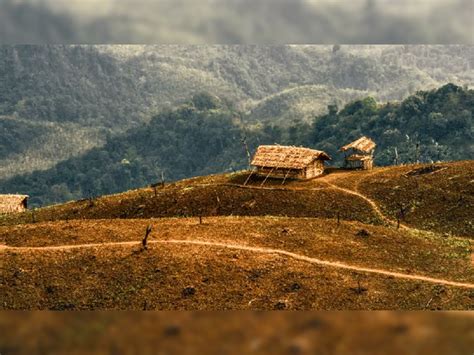 King Kobra live the villagers family know five strange villages of ...