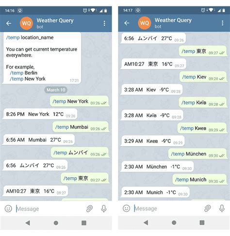 Weather Bot Telegram in Python 的图像结果