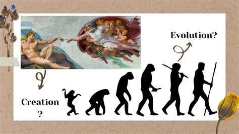 Image result for Creationism Vs Evolution