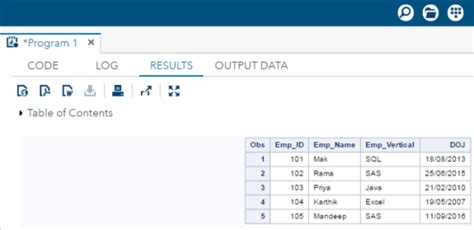 Image result for SAS Programming Examples