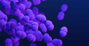 How to Test for Pneumonia? – healthcare nt sickcare