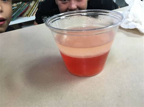 Image result for 3rd Grade Science Project Density