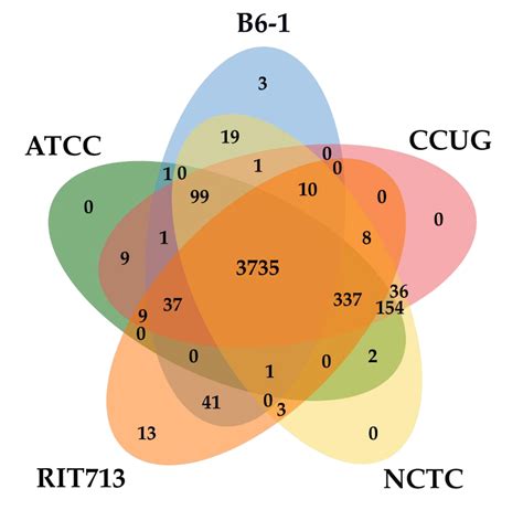 Comparative Genomic Analysis Provides Insights into the Phylogeny ...