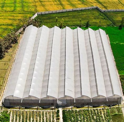Naturally Ventilated Polyhouse (NVPH) | Cost, Design & Benefits | Agriplast