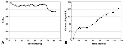 Recent Achievements in Microalgal Photobiological Hydrogen Production