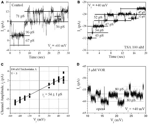 Oracle Developer 6I Program 的图像结果