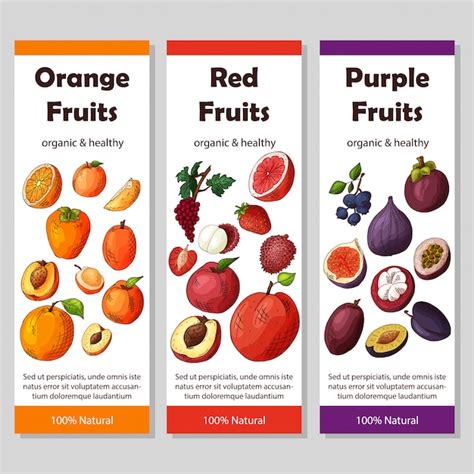 Set of organic food menu | Premium Vector