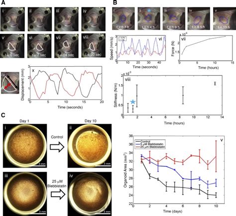Bioengineering Examples 的图像结果