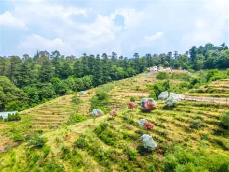 6 top hill stations to visit near Uttar Pradesh - Nainital, Uttarakhand ...