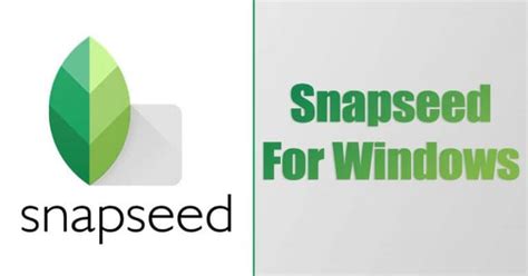 Image result for Snapseed for Computer