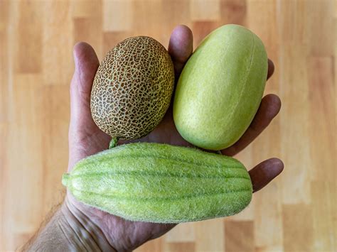 Salt Lake City farmer’s market now beginning to hit full stride ...