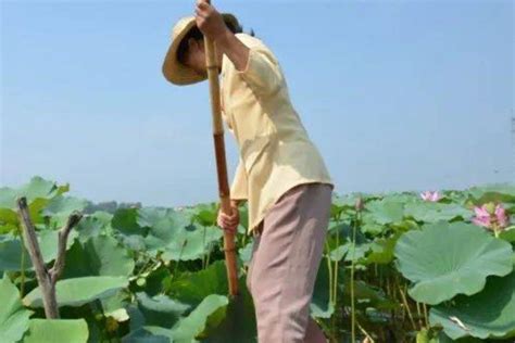 山东--济宁南阳古镇一座在水上漂了千年的运河！-商丘春秋旅游总公司官网