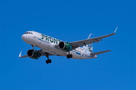 Explained: Frontier Airlines' Pet Policy