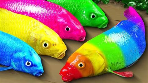 Image result for Plasticine Fun