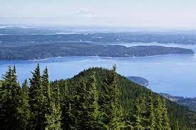 Image result for Walker Model MT