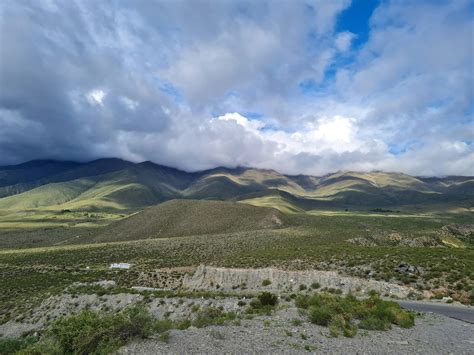 Grass Field Photography 的图像结果