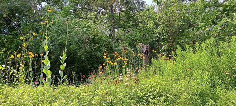Park Work Days, 7112 Newcastle, Bellaire, TX, United States, Texas ...