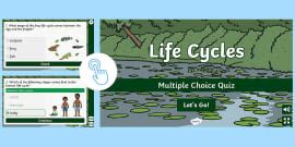 Butterfly Life Cycle Quiz