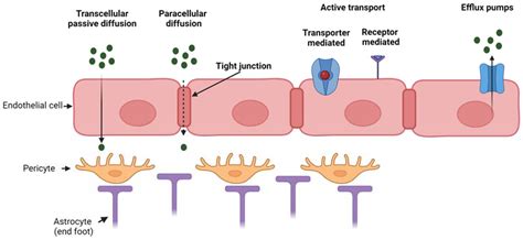 Biomaterials-Enhanced Intranasal Delivery of Drugs as a Direct Route for Brain Targeting