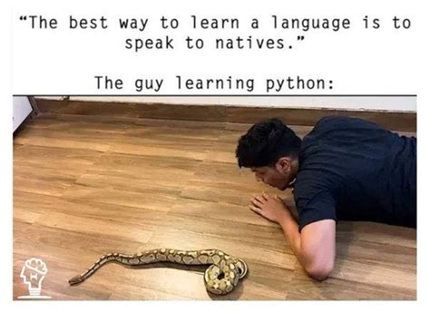 Image result for I Just Learned Python