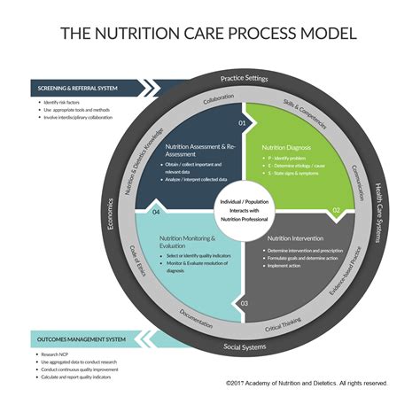 What is the Nutrition Care Process and Model?