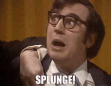Image result for Monty Python Splunge