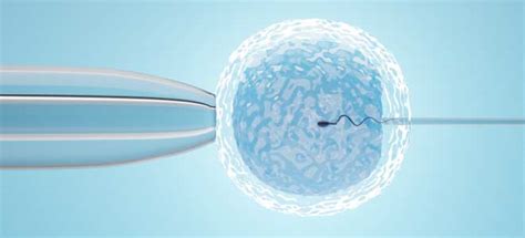 Milann - Never Too Late