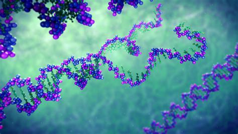 Image result for Advanced DNA Replication Animation